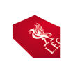 Picture of LIVERPOOL FC RUG